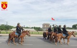 Cận cảnh dàn kỵ binh của lực lượng cảnh sát cơ động